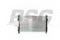 BSG 60520038 Su Radyatörü