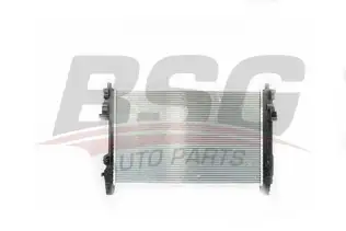 BSG 60520038 Su Radyatörü