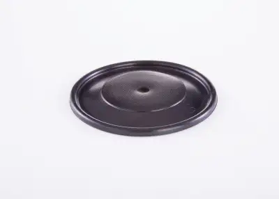 BOSCH 2420503002 Diyafram - 10. Görsel