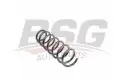 BSG 15305001 Helezon Yayı Ön