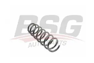 BSG 15305001 Helezon Yayı Ön