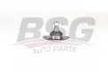 BSG 25310030 Rotil Alt