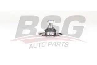 BSG 25310030 Rotil Alt