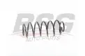 BSG 30305026 Helezon Yayı Arka