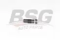 BSG 60109005 Eksantrik Zincir Gergisi