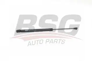 BSG 90980019 Motor Kaput Amortisörü