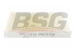 BSG 70145009 Polen Filtresi