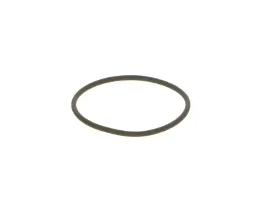BOSCH F00N201306 O-Ring - 5. Görsel