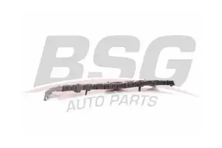 BSG 65700409 Gaz Kelebek Hortumu
