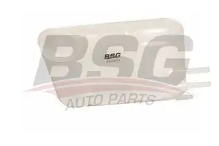 BSG 30550013 Radyatör Yedek Su Deposu