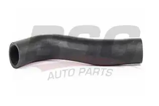 BSG 65720053 Yakıt Depo Hortumu