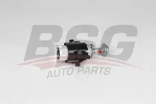 BSG 15830010 Benzin Pompası