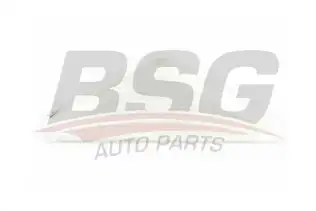 BSG 30810023 Çamurluk Sinyali