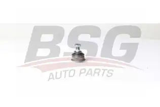 BSG 90310196 Rotil Alt
