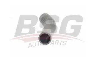 BSG 25720048 Turbo Hortumu