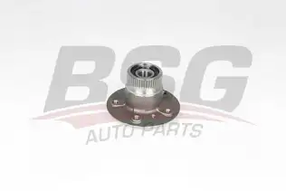 BSG 60600013 Porya Arka