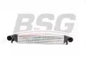 BSG 60535001 Turbo Radyatörü