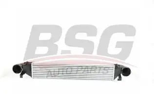 BSG 60535001 Turbo Radyatörü