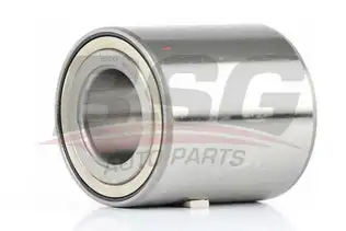BSG 65605009 Porya Rulmanı Arka