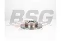 BSG 65210025 Fren Diski Arka
