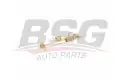 BSG 30260010 Fren Yay Takımı Arka Sağ