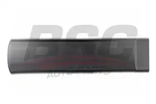 BSG 30924033 Kapı Bandı Arka Sağ