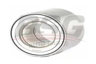 BSG 65605015 Porya Rulmanı Arka