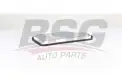 BSG 60145022 Polen Filtresi
