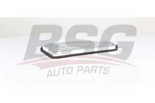 BSG 60145022 Polen Filtresi