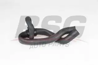 BSG 65700445 Radyatör Hortumu Alt