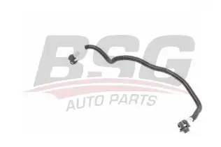 BSG 60725015 Yakıt Hortumu