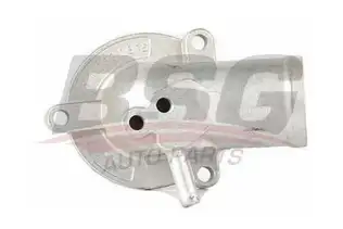BSG 60125011 Termostat
