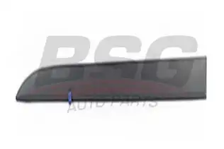 BSG 65925050 Kapı Bandı Ön Sol