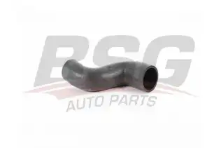 BSG 60720017 Turbo Hortumu