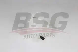 BSG 65550014 Radyatör Yedek Su Deposu