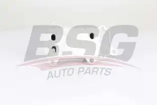 BSG 15506021 Yağ Radyatörü