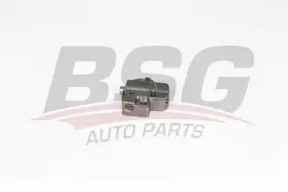 BSG 30109028 Eksantrik Zincir Gergisi