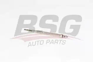 BSG 30870005 Isıtma Bujisi