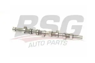 BSG 75108006 Eksantrik Mili