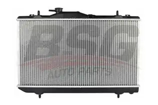 BSG 40520023 Su Radyatörü