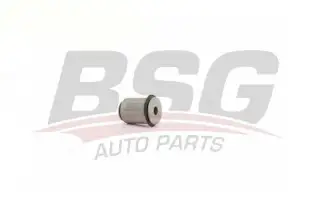 BSG 30700447 Salıncak Burcu Alt