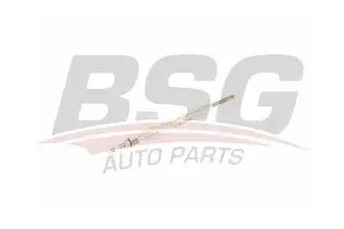BSG 40870006 Isıtma Bujisi