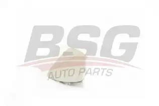 BSG 90910048 Ayna Camı Sol