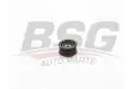 BSG 30615032 V Kayış Gergi Rulmanı