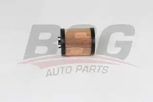 BSG 65140009 Yağ Filtresi