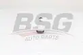 BSG 60310287 Rotil Alt