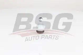 BSG 60310287 Rotil Alt