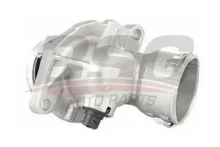 BSG 60125007 Termostat