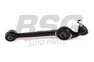 BSG 30310060 Rotilli Kol Sağ