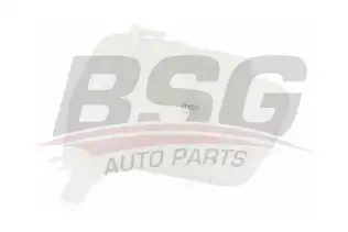 BSG 16550006 Radyatör Yedek Su Deposu